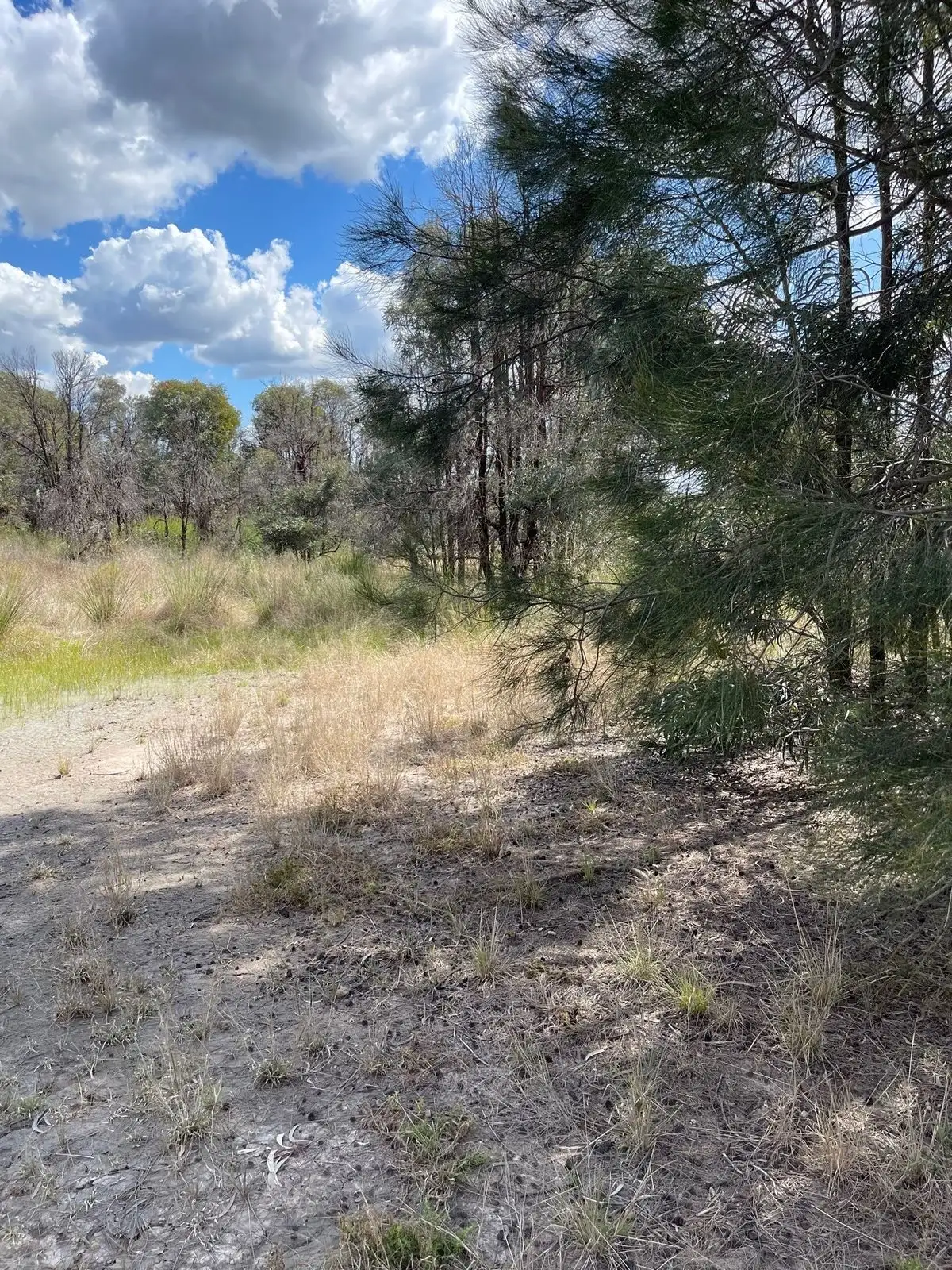 Main view of Homely rural property listing, 83 Western Road, Tara QLD 4421