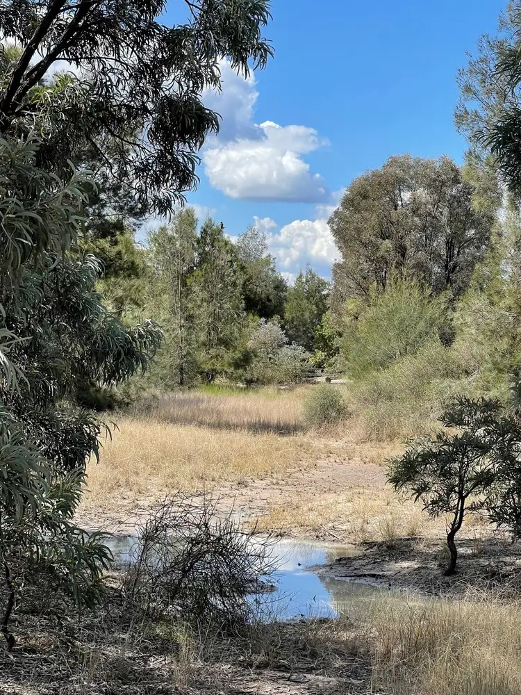 Second view of Homely rural property listing, 83 Western Road, Tara QLD 4421