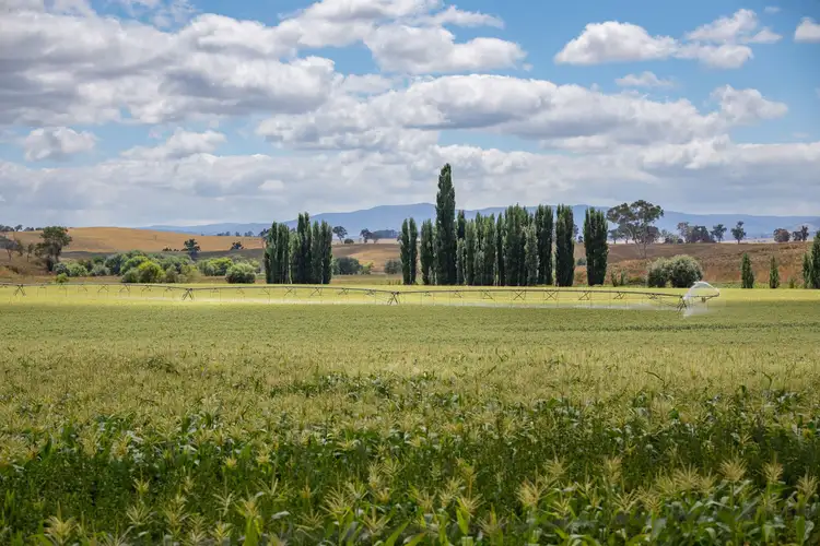 324 Bidgeribbin Road, The Lagoon NSW 2795