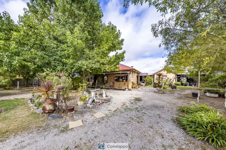 43 Princes Avenue, Longwarry VIC 3816