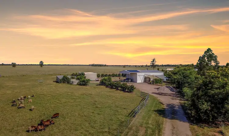 Main view of Homely house listing, 35 Fischer Court, Chinchilla QLD 4413