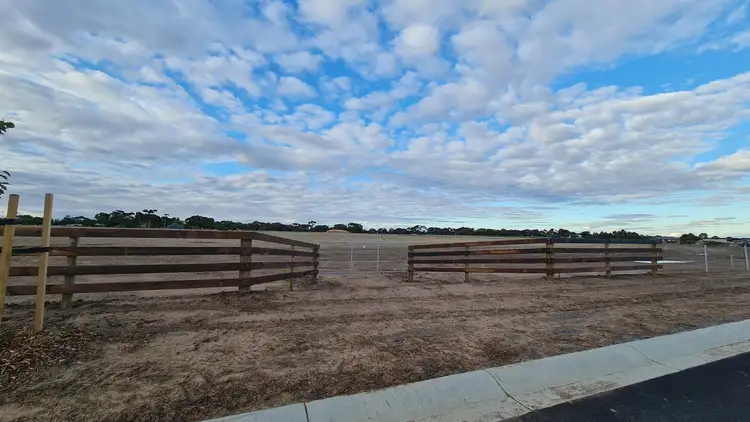 Main view of Homely land listing, Lot 19 Gazzola Court, Lewiston SA 5501