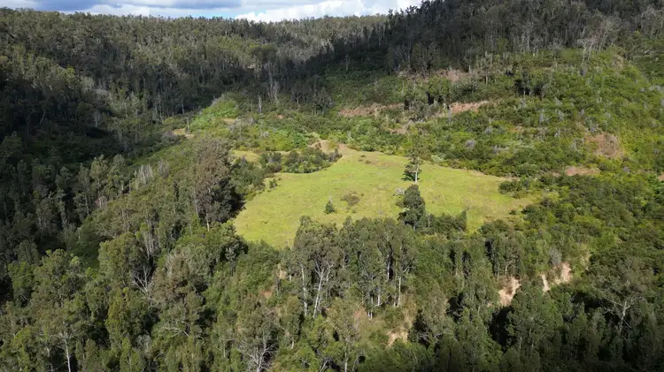 Fifth view of Homely rural property listing, 3293 Armidale Road, Blaxlands Creek NSW 2460