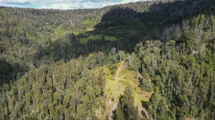 Seventh view of Homely rural property listing, 3293 Armidale Road, Blaxlands Creek NSW 2460