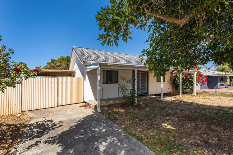 47 Mistral Street, Falcon WA 6210