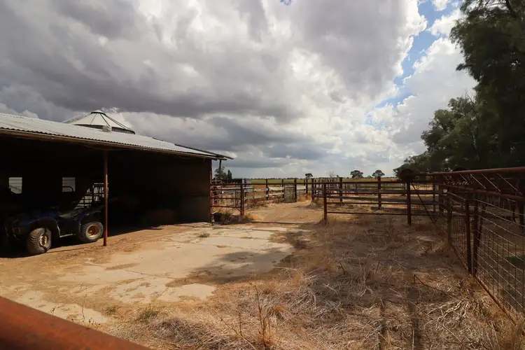 Fourth view of Homely rural property listing, 1581 Leitchville-Kerang Road, Mcmillans VIC 3568