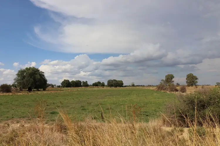 Fifth view of Homely rural property listing, 1581 Leitchville-Kerang Road, Mcmillans VIC 3568