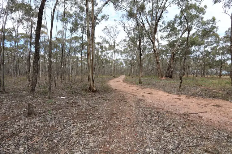 Sixth view of Homely land listing, 502 Bet Bet Creek Road, Timor VIC 3465