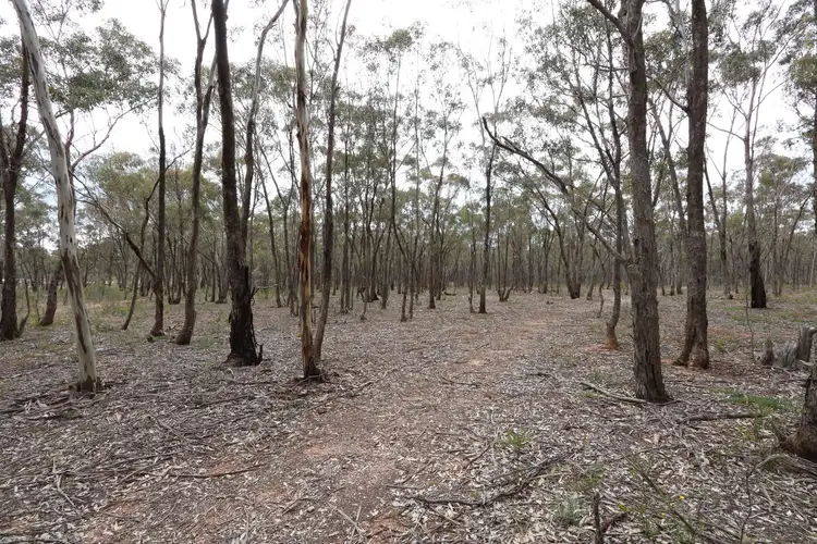 Seventh view of Homely land listing, 502 Bet Bet Creek Road, Timor VIC 3465