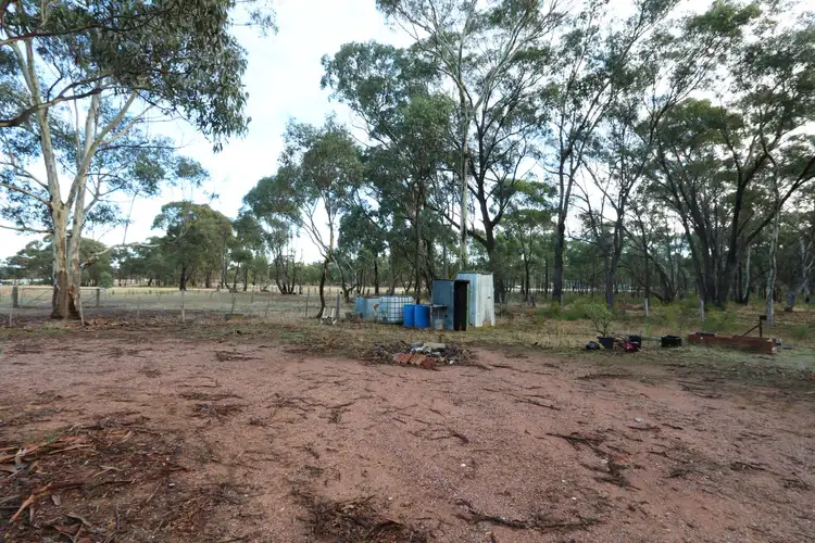 Fifth view of Homely rural property listing, 502 Bet Bet Creek Road, Timor VIC 3465