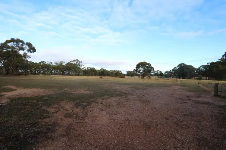 Seventh view of Homely rural property listing, 502 Bet Bet Creek Road, Timor VIC 3465