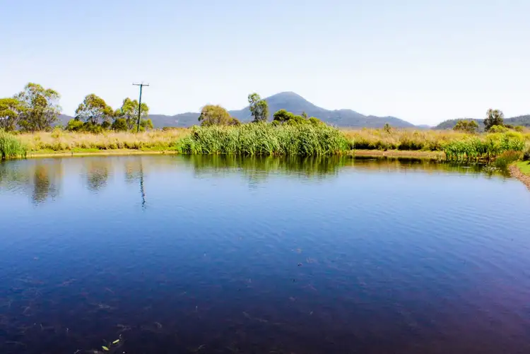 Fifth view of Homely rural property listing, 972 Bylong Valley Way, Baerami NSW 2333