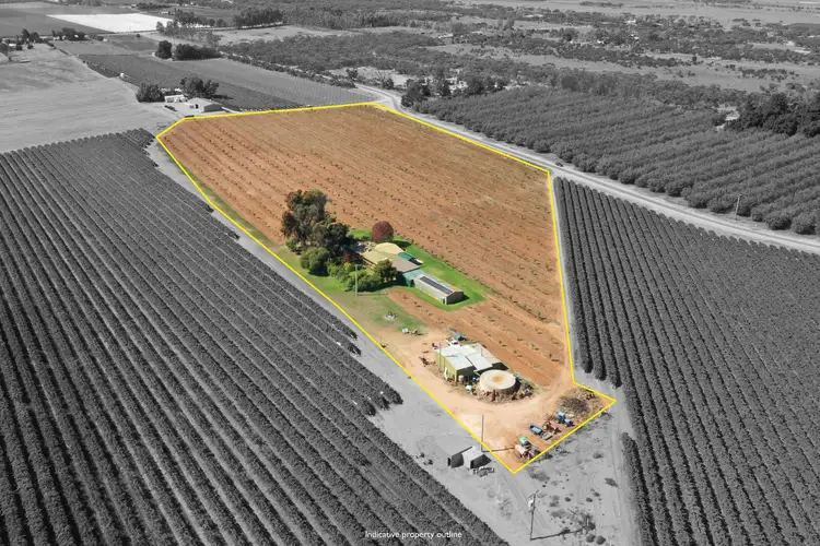 Second view of Homely house listing, 255 Dumosa Street, Red Cliffs VIC 3496