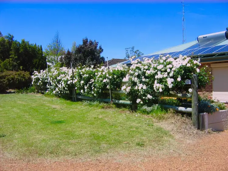 Second view of Homely house listing, 11 Iseppi Street, Waroona WA 6215