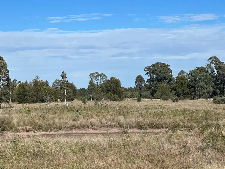 Sixth view of Homely rural property listing, 297 Kofoeds Road, Tara QLD 4421