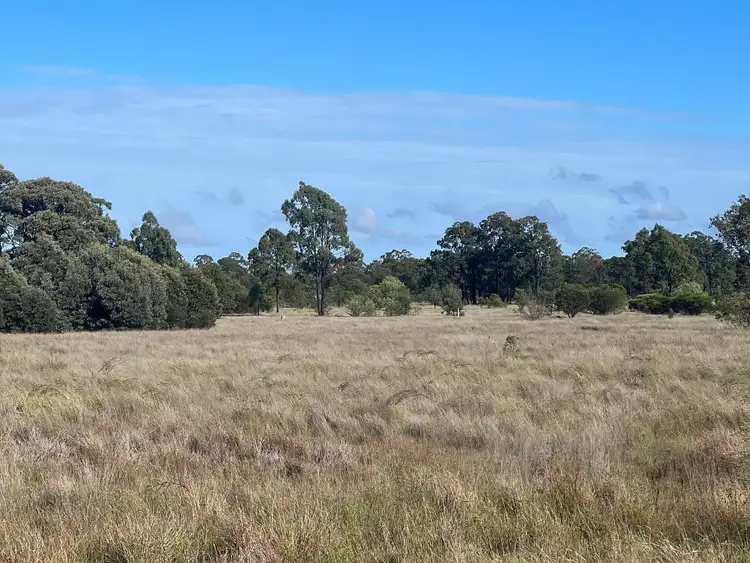 Seventh view of Homely rural property listing, 297 Kofoeds Road, Tara QLD 4421