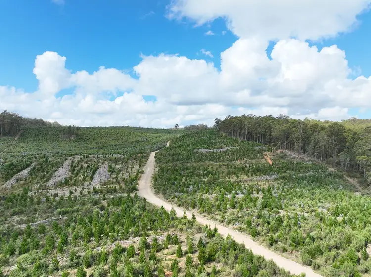 Second view of Homely rural property listing, Lot 12 &13 Porters Bridge Road, Exton TAS 7303