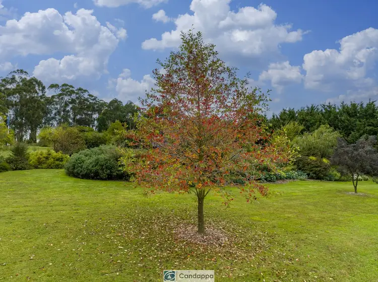 Second view of Homely land listing, 156 Shillinglaw Road, Drouin VIC 3818