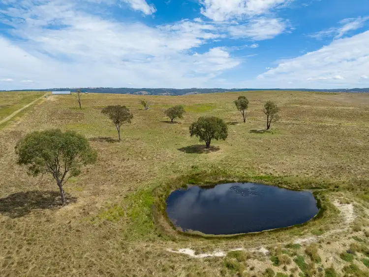 Sixth view of Homely rural property listing, 374 Wimbledon Road, Wimbledon NSW 2795