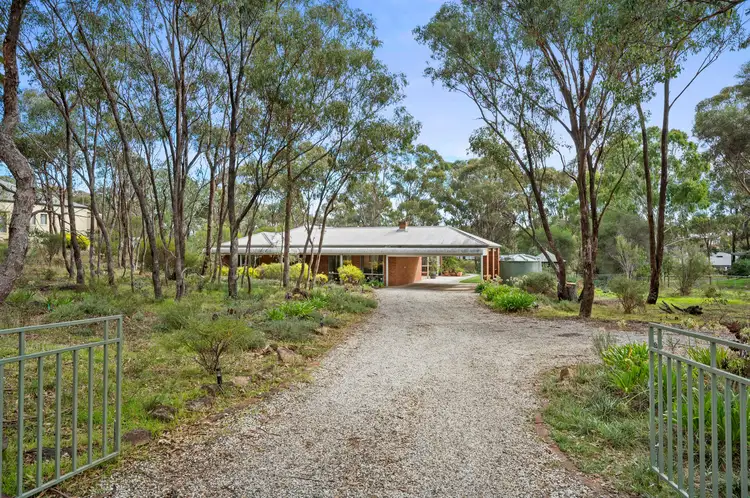 Main view of Homely house listing, 13 Burra Burra Road, Maiden Gully VIC 3551