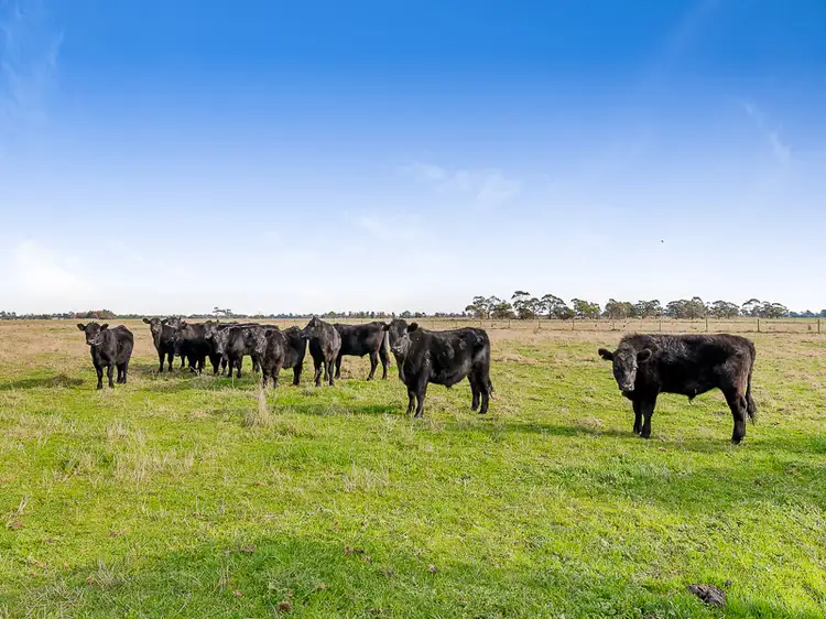 LOT 1 ELEVEN MILE ROAD, Tynong VIC 3813