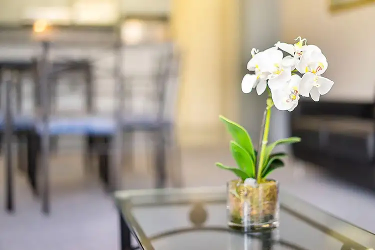 Fifth view of Homely apartment listing, 2/273 Hay Street, East Perth WA 6004