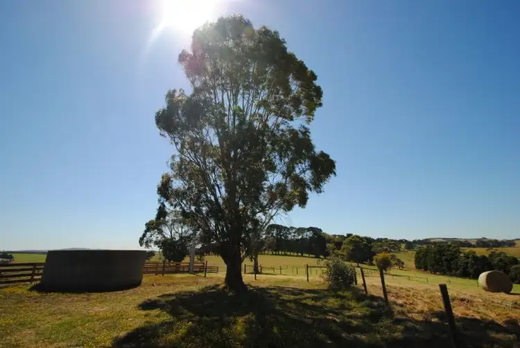 Sixth view of Homely rural property listing, 225 MOUNT VERNON ROAD, Berrys Creek VIC 3953