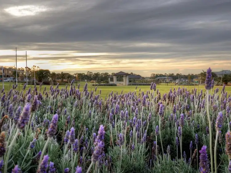Fifth view of Homely land listing, 6 Naxos Road, Greenvale VIC 3059