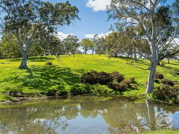 Second view of Homely rural property listing, Cosgrove Road, Macclesfield SA 5153