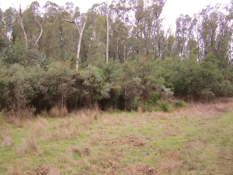 Seventh view of Homely rural property listing, 1301 Maroondah Highway, Narbethong VIC 3778