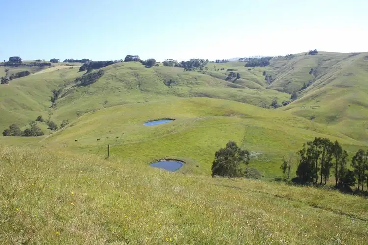 Seventh view of Homely rural property listing, 427 KELLY AND CURRANS ROAD, Ranceby VIC 3951