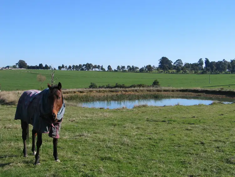 Second view of Homely rural property listing, 1710 WESTERNPORT ROAD, Heath Hill VIC 3981