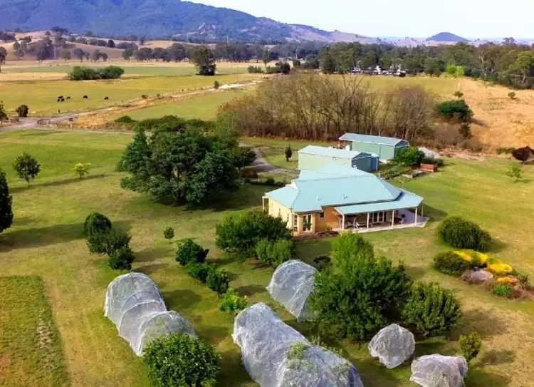Fourth view of Homely rural property listing, 22B Full Belly Court, Eildon VIC 3713