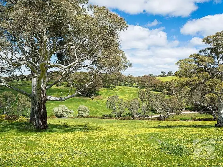 Fifth view of Homely rural property listing, Cosgrove Road, Macclesfield SA 5153
