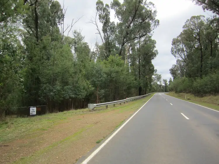 Second view of Homely rural property listing, 1301 Maroondah Highway, Narbethong VIC 3778