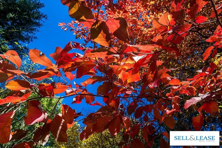 Fifth view of Homely house listing, 42 Pinnocks Road, Emerald VIC 3782