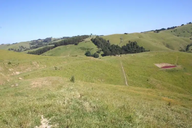 Fifth view of Homely rural property listing, 427 KELLY AND CURRANS ROAD, Ranceby VIC 3951