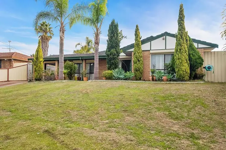 77 Dryandra Drive, Mirrabooka WA 6061