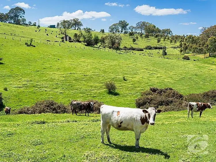 Third view of Homely rural property listing, Cosgrove Road, Macclesfield SA 5153