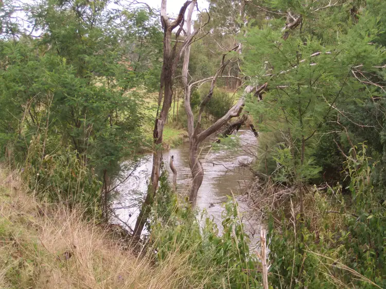 Main view of Homely rural property listing, 1301 Maroondah Highway, Narbethong VIC 3778