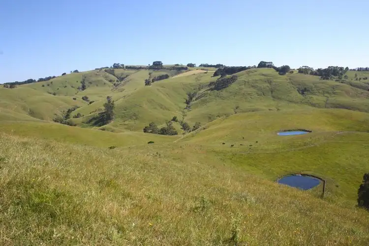 Sixth view of Homely rural property listing, 427 KELLY AND CURRANS ROAD, Ranceby VIC 3951
