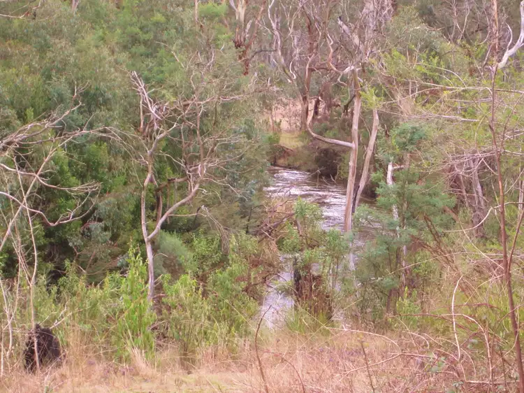 Third view of Homely rural property listing, 1301 Maroondah Highway, Narbethong VIC 3778