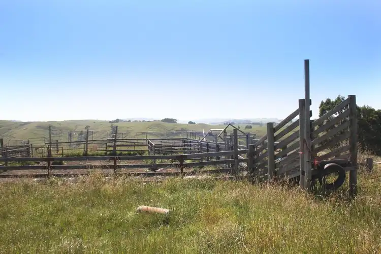 Fourth view of Homely rural property listing, 427 KELLY AND CURRANS ROAD, Ranceby VIC 3951