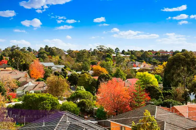 442 & 444/484 Elgar Road, Box Hill VIC 3128