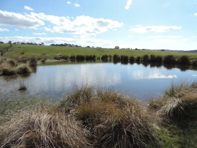 Second view of Homely rural property listing, 197 Kangaloolah Road, Binda NSW 2583