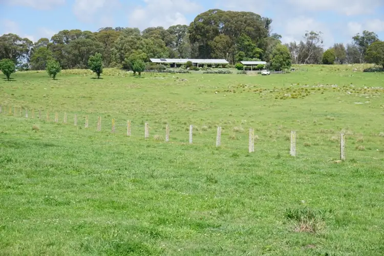 1705 Mount Mitchell Road, Guyra NSW 2365