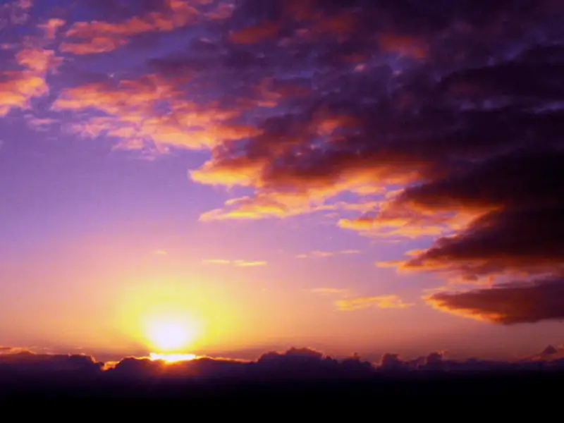 Main view of Homely rural property listing, 2/1344 Coolamon Scenic Drive, Mullumbimby NSW 2482