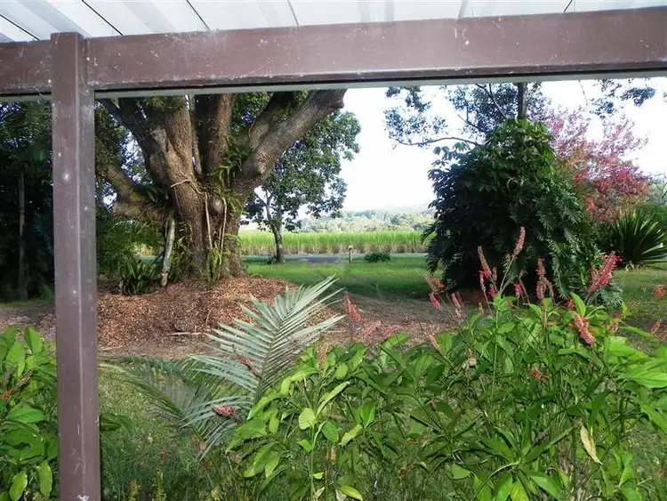 Fourth view of Homely rural property listing, 570 Main Arm Road, Mullumbimby NSW 2482