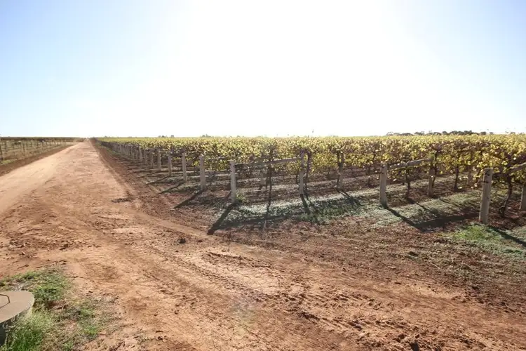 Third view of Homely rural property listing, Lot 96 Little Cowra Avenue, Yelta VIC 3505