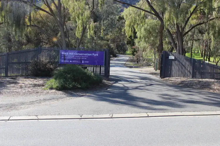 Fourth view of Homely land listing, LOT Lot 98, 5 Judith Drive, Athelstone SA 5076